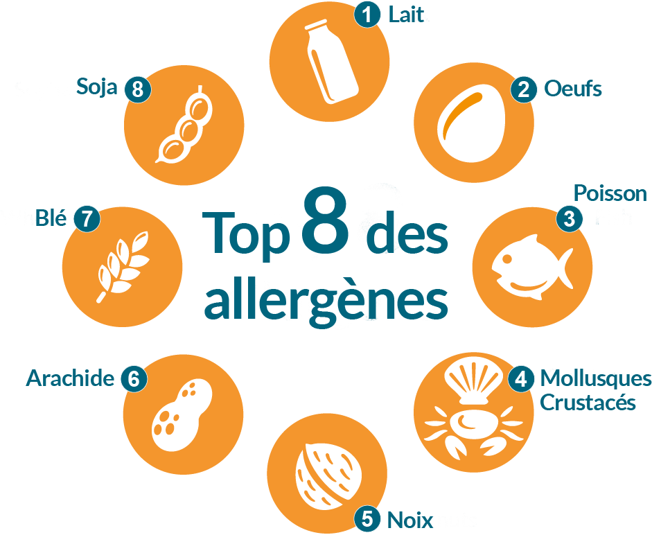Top 8 food allergens